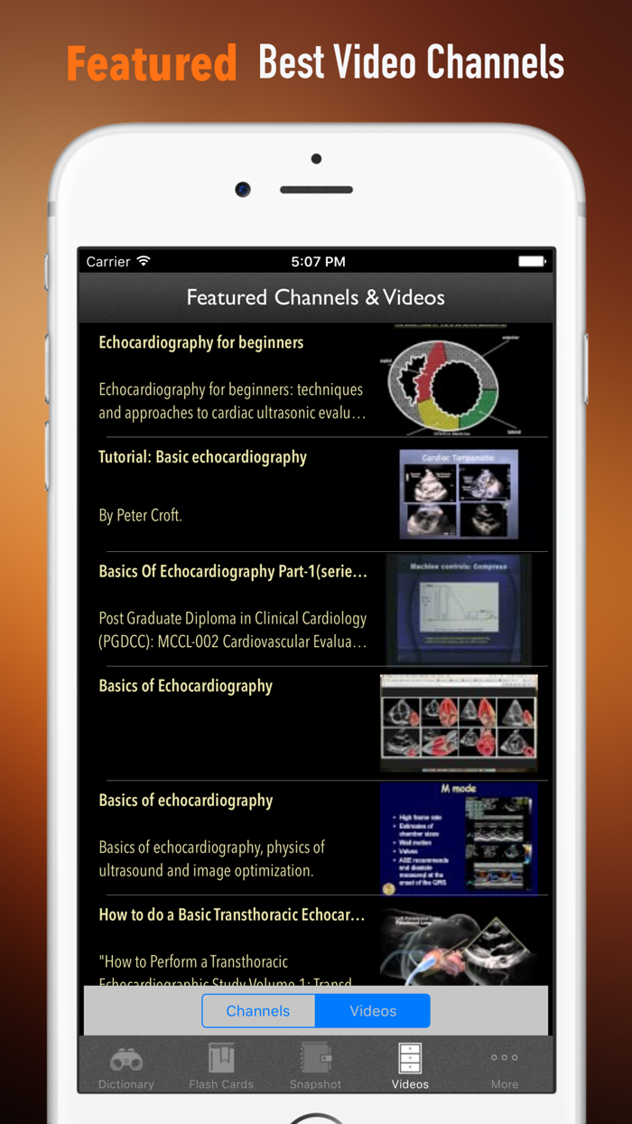 Echocardiography GlossaryCheatsheet,Study Guide