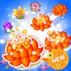 Blossom Paradise Free: Flower Blast Saga Jelly