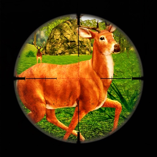 Deer Hunting Game 2016 : Sniper Kill Animals Free icon