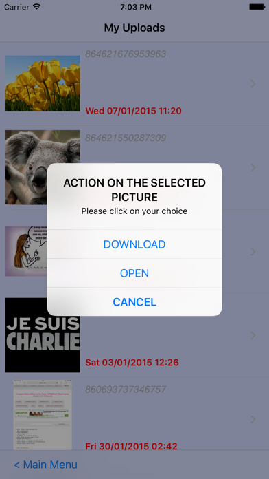 Albums, pictures and Videos Downloader Screenshot 5
