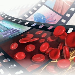 Human Physiology: Body Structures and Fucntions Free