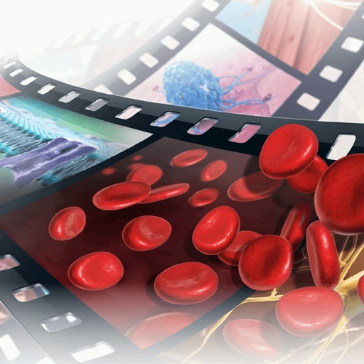 Human Physiology: Body Structures and Fucntions Free