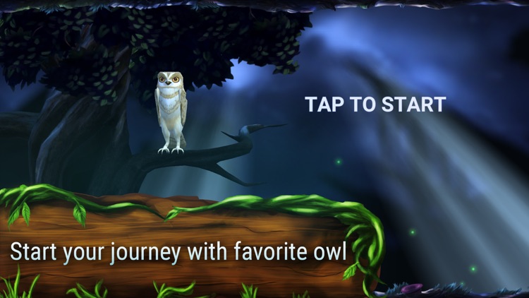 Owl's Midnight Journey - Light