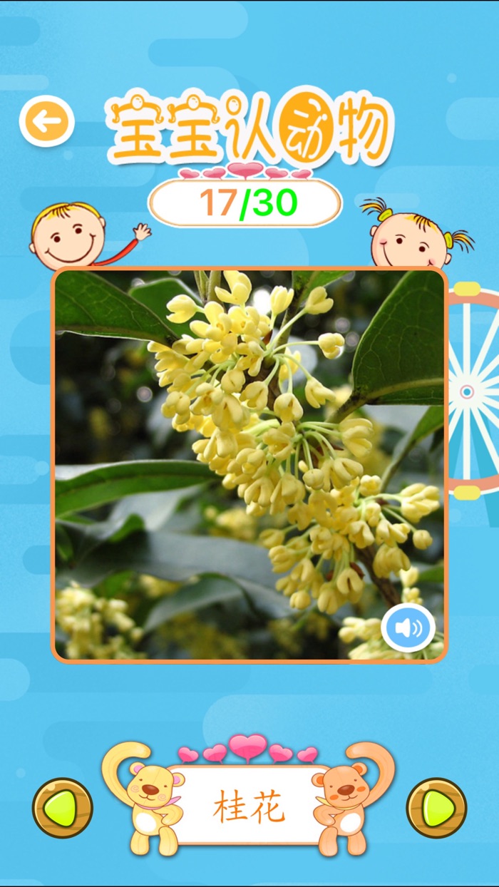 ABC宝宝认知大巴士认知植物全集