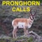 Pronghorn Hunting Calls & Big Game Calls HD