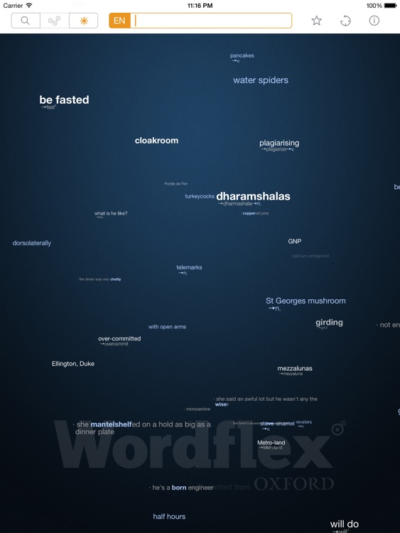 Wordflex Touch Dictionary