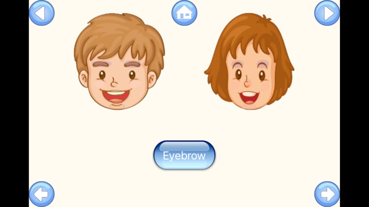 My Body Parts Baby Learning English Flash Cards by