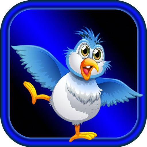 3D Birds Football Match - Rise Of Eggs To Shuffle