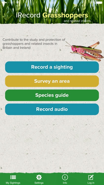 iRecord Grasshoppers