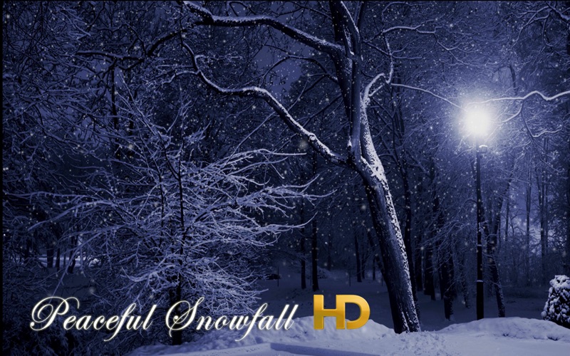Peaceful Snowfall HD thumbnail 1