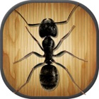Top 30 Games Apps Like Classic Ant Smasher - Best Alternatives