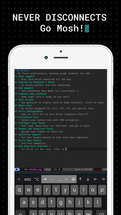 Blink Shell: Mosh & SSH Client