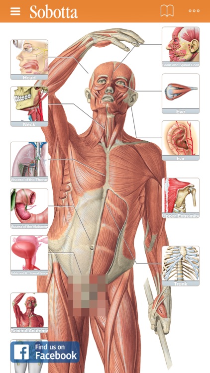 Sobotta Anatomy Atlas