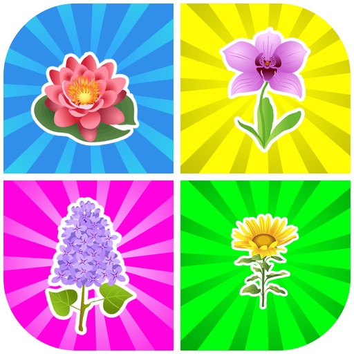 Matching Pairs Flowers-Flashcard Game For Toddlers icon