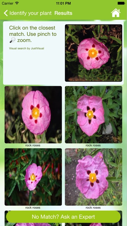 Garden Answers Plant Identification screenshot-3