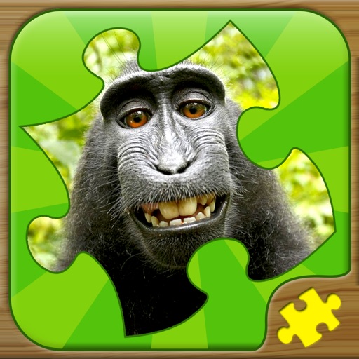 Fun Puzzle Games iOS App