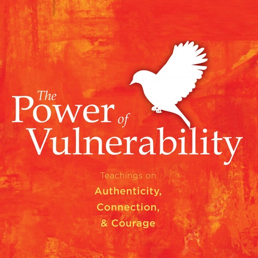 Quick Wisdom from The Power of Vulnerability