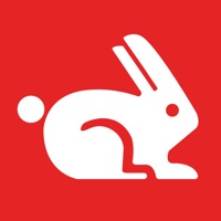 Rabbit「GoogleのPageSpeed「Webテストのため