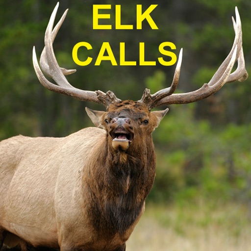 Elk Bugle & Elk Calls for Elk Hunting Icon