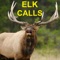 Elk Bugle & Elk Calls for Elk Hunting