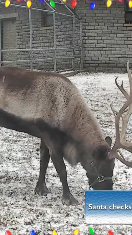 Christmas Pro - Text & Call Santa & Watch Reindeer screenshot-3