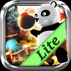 Activities of Hero Panda Bomber: 3D Adventure