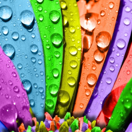 Rainbow Wallpapers HD for Home & Lock Screens Free icon
