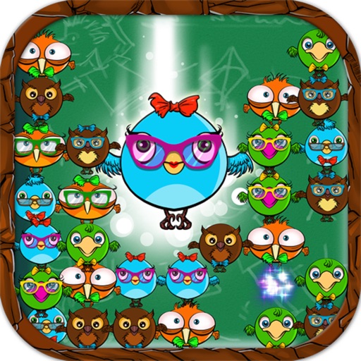 Nerdy Birds iOS App