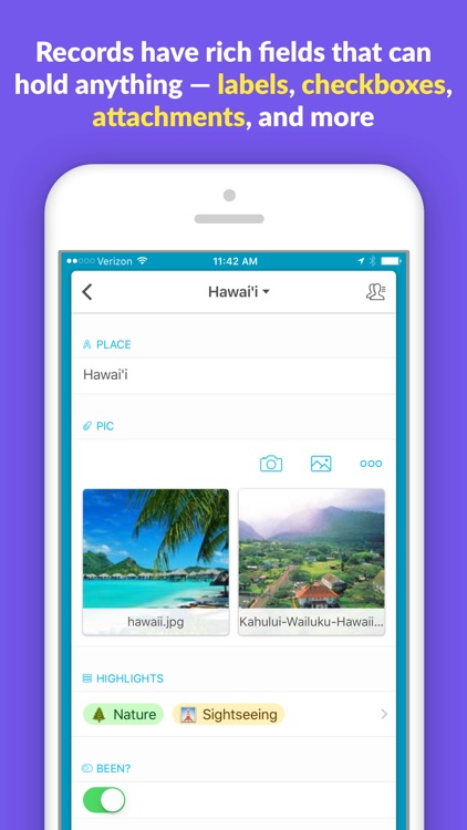 Airtable - Flexible database and organizer