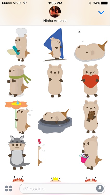 bichitto's collection