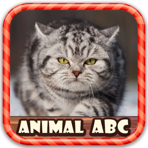 Animal Figure ABC icon