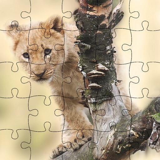 Jigsaw Puzzles For Kids: The Wild Life Animals Icon