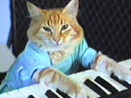 Play em' off, Keyboard Cat