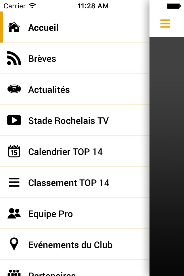 Stade Rochelais screenshot 2