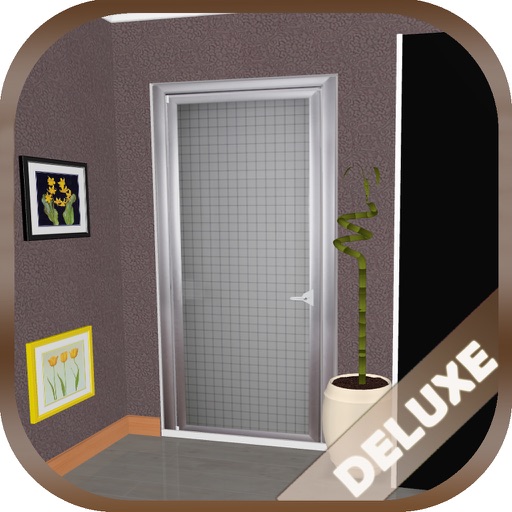 Can You Escape Intriguing 9 Rooms Deluxe - Puzzle Game icon