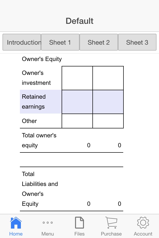 Balance Sheet screenshot 4