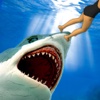 Shark Revenge Attack: Hungry Whale Chase Mermaid