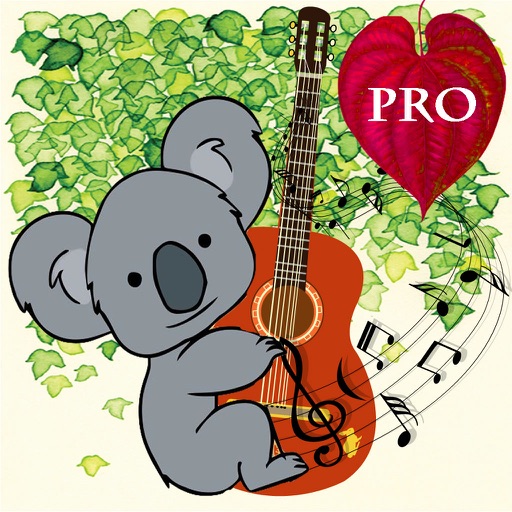 A Music Koala : hunt all notes icon