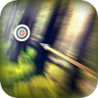 Bow Hunting Master 3D