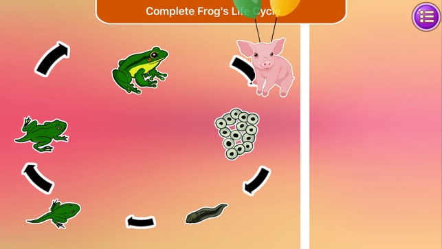 HERMIONE 2ND GRADE SCIENCE LEARNING GAME & FUN PRO(圖4)-速報App