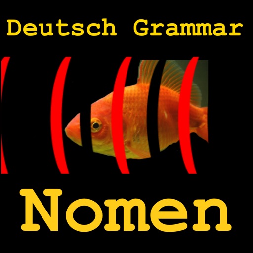 Deutsch Grammar Nomen iOS App