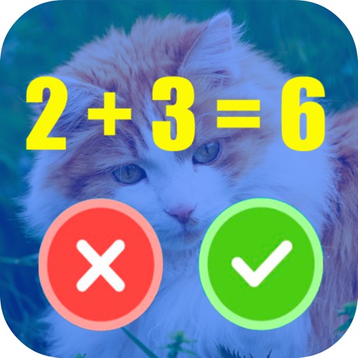 Fun & Easy Maths for Kids iOS App