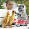Amazing Funny Photo Frames Free HD Picture Effects