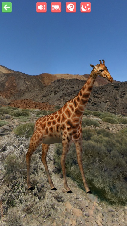 Painting Lulu Safari KFC screenshot-3