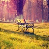 Park Bench Wallpapers HD-Quotes and Art Pictures