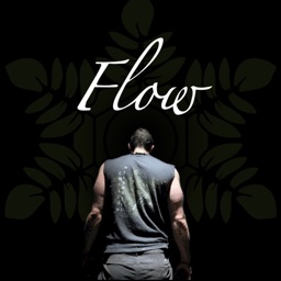 Flow State