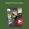 Muscle fitness videos