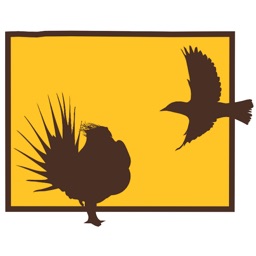 Wyoming Bird Trail