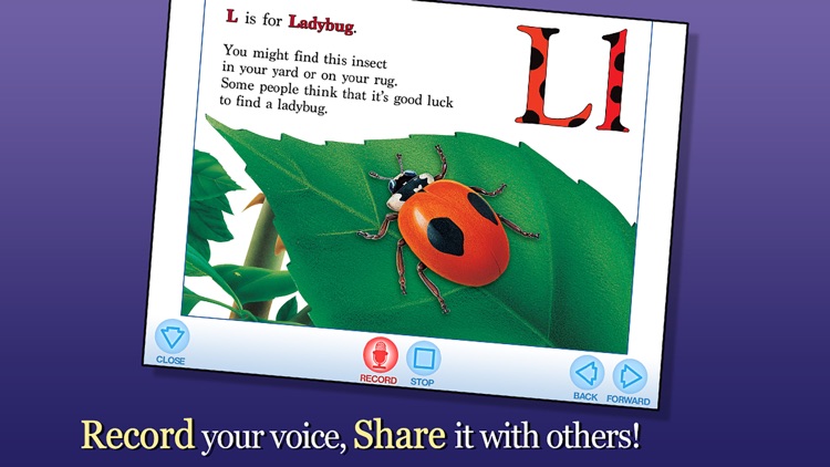 Alphabet of Insects screenshot-3