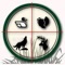 Hunting Call improves your skill to bring in deer, predators, waterfowl, elk, birds and much more